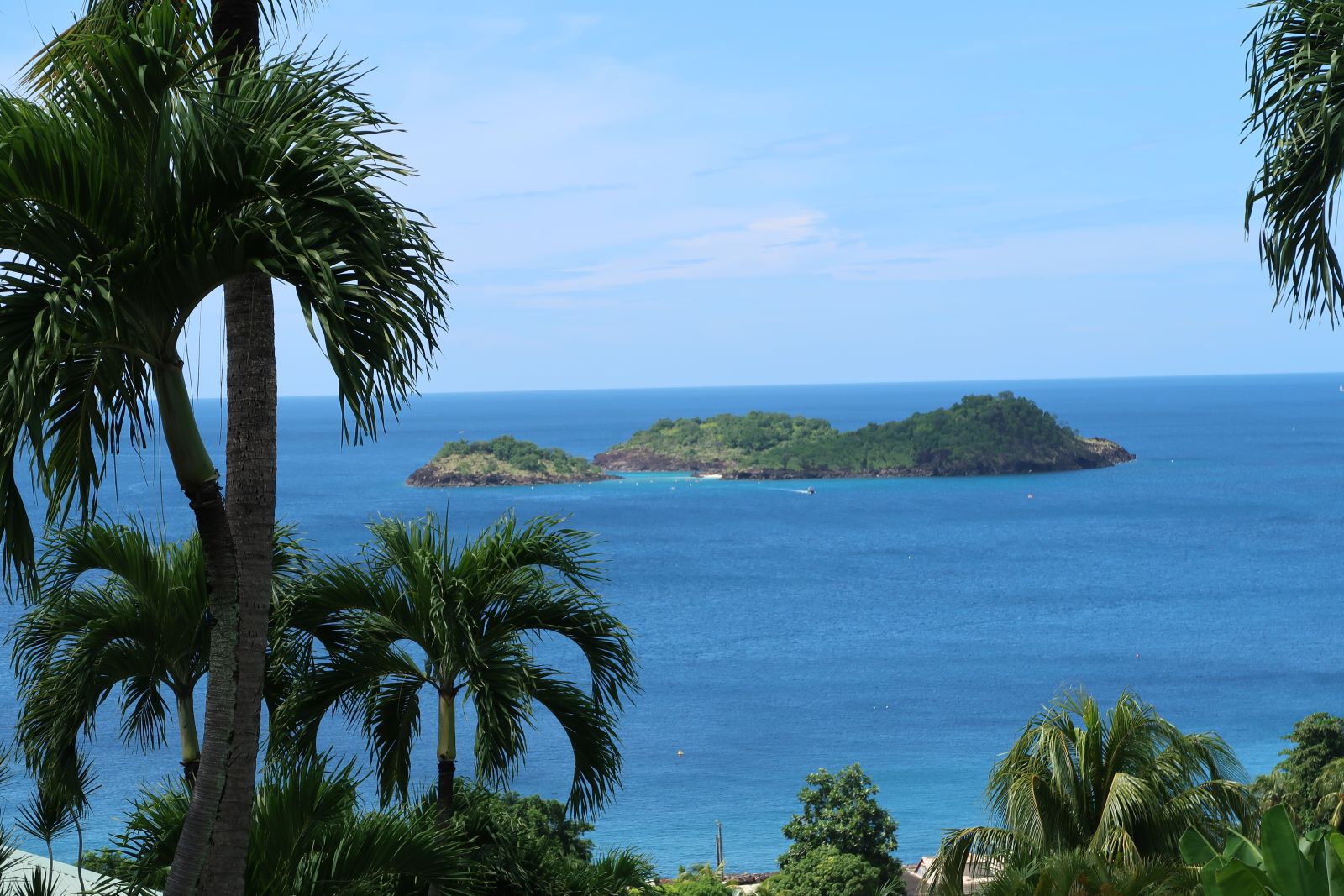 Plongée en Guadeloupe